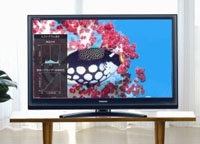 REGZA    HD LCD   Toshiba